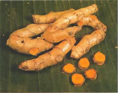 Куркума (turmeric) - пряні трави і спеції - готувати легко! (Гіркуватим теплим ароматом) Куркума (turmeric) - пряні трави і спеції - готувати легко!