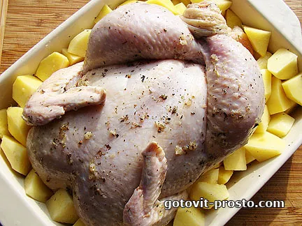 Курка, фарширована картоплею, в духовці - готувати просто (курка) Курка, фарширована картоплею, в духовці - готувати просто
