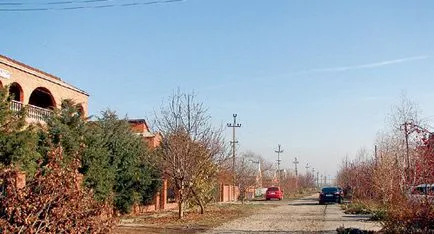 Кущевська банда скалічила життя сотням невинних дівчат (Кущевська) Кущевська банда скалічила життя сотням невинних дівчат