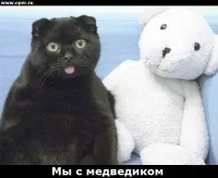 Квартира після самогубці, жіночий інтернет, телефон довіри