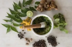 Лікування базаліоми народними засобами підхід, рецепти (базаліоми) Лікування базаліоми народними засобами підхід, рецепти