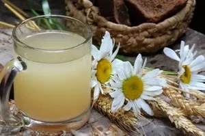 Квас з вівса користь і шкода - рецепти здоров'я (вівса) Квас з вівса користь і шкода - рецепти здоров'я