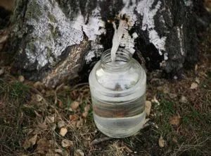 Лікування лямбліозу народними засобами огляд ефективних методів (народними) Лікування лямбліозу народними засобами огляд ефективних методів