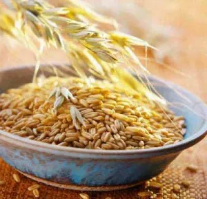 Лікування грижі живота народними засобами (лікування) Лікування грижі живота народними засобами