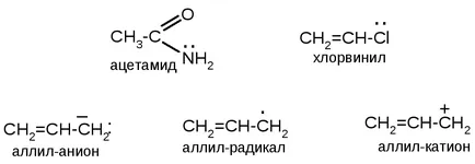 лекція ються