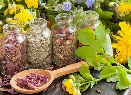 Лікування рожевого лишаю в домашніх умовах народні засоби при лишаї Жибера (умовах) Лікування рожевого лишаю в домашніх умовах народні засоби при лишаї Жибера