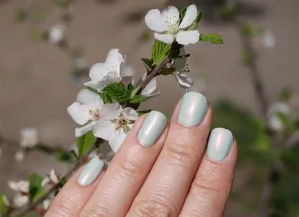 Лак ysl 70 peace green вишневий колір і нігті кольору грошей - елена Чемезова (нігті) Лак ysl 70 peace green вишневий колір і нігті кольору грошей - елена Чемезова