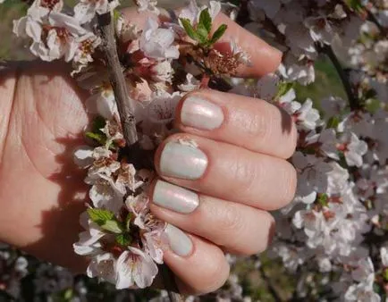 Лак ysl 70 peace green вишневий колір і нігті кольору грошей - елена Чемезова (нігті) Лак ysl 70 peace green вишневий колір і нігті кольору грошей - елена Чемезова