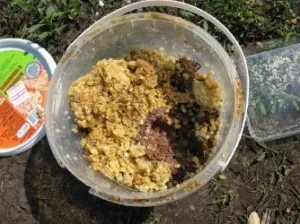 Краща підгодовування для сазана своїми руками влітку і взимку (сазана) Краща підгодовування для сазана своїми руками влітку і взимку