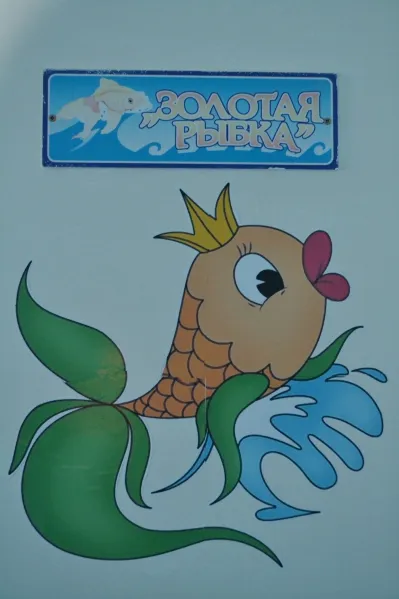 Сходова педагогіка »
