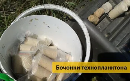 Ловля товстолобика на донку, на поплавок (ловля товстолобика восени) Ловля товстолобика на донку, на поплавок