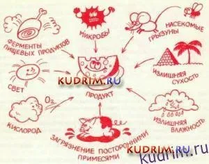 Чому псуються харчові продукти причини псування (харчові) Чому псуються харчові продукти причини псування
