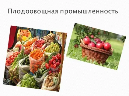 Плодоовочева промисловість - презентація 122629-19 (презентація) Плодоовочева промисловість - презентація 122629-19