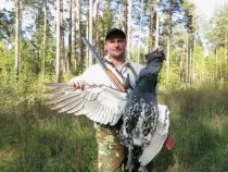 Кращі способи полювання на глухаря восени (полювання) Кращі способи полювання на глухаря восени