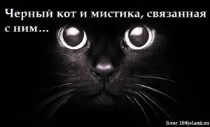 Магічні здібності кішок телепортація, телепатія і подорожі по інших світів, 100jelanii (Привіт Юлія Дякую статтю) Магічні здібності кішок телепортація, телепатія і подорожі по інших світів, 100jelanii