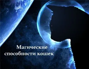 Магічні здібності кішок телепортація, телепатія і подорожі по інших світів, 100jelanii (Привіт Юлія Дякую) Магічні здібності кішок телепортація, телепатія і подорожі по інших світів, 100jelanii