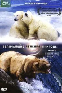 Березневі коти 2001 фільм дивитися онлайн безкоштовно в хорошій якості