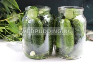 Мариновані огірки з лимонною кислотою, як приготувати на (приготувати) Мариновані огірки з лимонною кислотою, як приготувати на