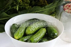 Мариновані огірки з лимонною кислотою, як приготувати на (мариновані) Мариновані огірки з лимонною кислотою, як приготувати на