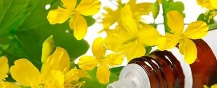 Масло чистотілу властивості, застосування, склад, як приготувати масло чистотілу (склад) Масло чистотілу властивості, застосування, склад, як приготувати масло чистотілу
