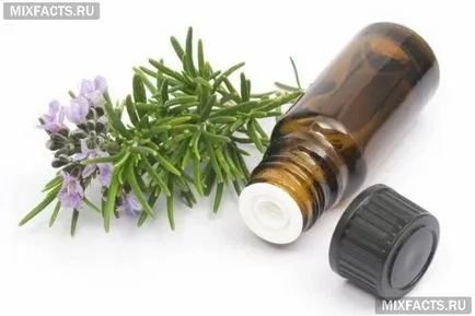 Маски для волосся з маслом розмарину (ефірне масло розмарину) Маски для волосся з маслом розмарину