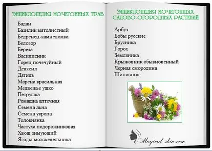 Маски від набряклості особи, як приготувати в домашніх умовах (маски) Маски від набряклості особи, як приготувати в домашніх умовах