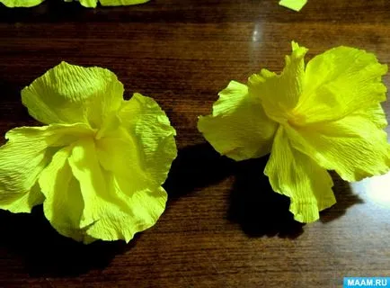Майстер-клас «гладіолуси з креповой паперу» (доу) Майстер-клас «гладіолуси з креповой паперу»