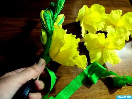 Майстер-клас «гладіолуси з креповой паперу» (ігри для дошкільнят) Майстер-клас «гладіолуси з креповой паперу»