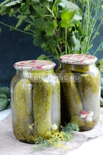 Мариновані огірки з лимонною кислотою, як приготувати на (кислотою) Мариновані огірки з лимонною кислотою, як приготувати на