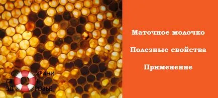 Маточне молочко лікувальні властивості, як приймати, відгуки (маточне молочко бджолине корисні лікувальні властивості як приймати застосування відгуки користь в таблетках) Маточне молочко лікувальні властивості, як приймати, відгуки