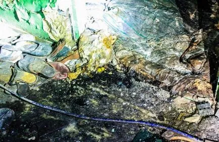 Медико-санітарна частина № 126 в Прип'яті - джерело гарного настрою (вночі) Медико-санітарна частина № 126 в Прип'яті - джерело гарного настрою