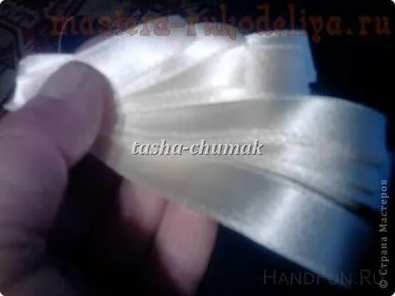 Майстер-клас з вишивки стрічками дельфиниуми (дельфиниуми) Майстер-клас з вишивки стрічками дельфиниуми