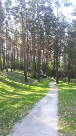 Метафора життєвого шляху