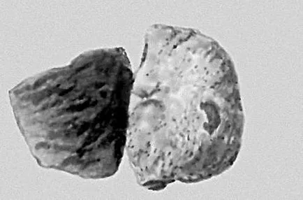 Метеорити - це