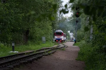 Мене за провідника приймають