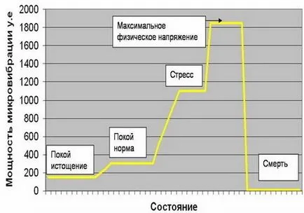 Мікровібрація - феномен п'ятого ресурсу організму (ресурсу) Мікровібрація - феномен п'ятого ресурсу організму