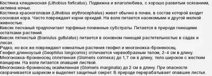 Багатоніжки в кольорах як позбутися (багатоніжка) Багатоніжки в кольорах як позбутися