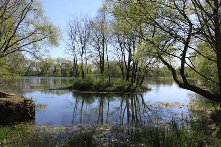 Міхал Клеофас Огінський біографія (біографія) Міхал Клеофас Огінський біографія