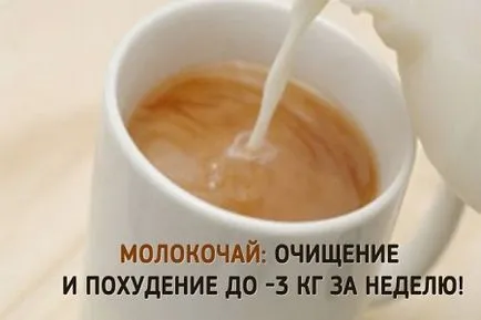 Молокочайная дієта меню на молокочай, відгуки, результати, рецепти (дієта) Молокочайная дієта меню на молокочай, відгуки, результати, рецепти
