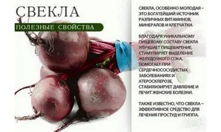 Чи можна буряк при грудному вигодовуванні мамі, що годує (в перший місяць і після) (мамі) Чи можна буряк при грудному вигодовуванні мамі, що годує (в перший місяць і після)