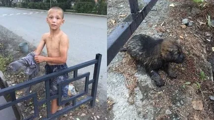 Справжній чоловік як хлопчик врятував з стойной канави цуценя (справжній) Справжній чоловік як хлопчик врятував з стойной канави цуценя