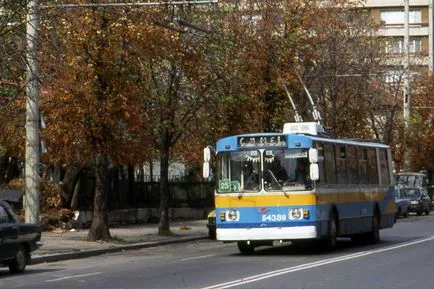 На чому їздять Украінане 5 фактів про суспільне транспортеУкаіни (тролейбус) На чому їздять Украінане 5 фактів про суспільне транспортеУкаіни