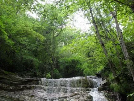 На ниві на чорне море