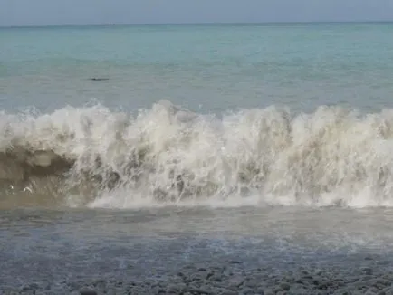 На ниві на чорне море
