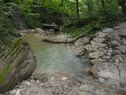 На ниві на чорне море