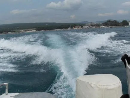 На ниві на чорне море