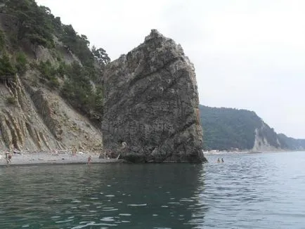 На ниві на чорне море