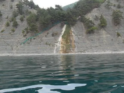 На ниві на чорне море