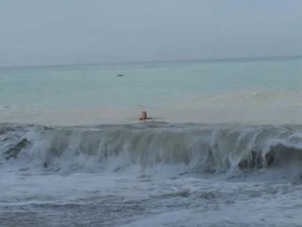 На ниві на чорне море