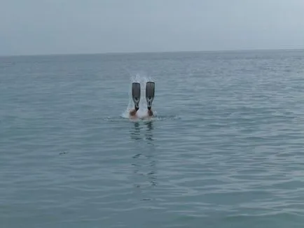 На ниві на чорне море